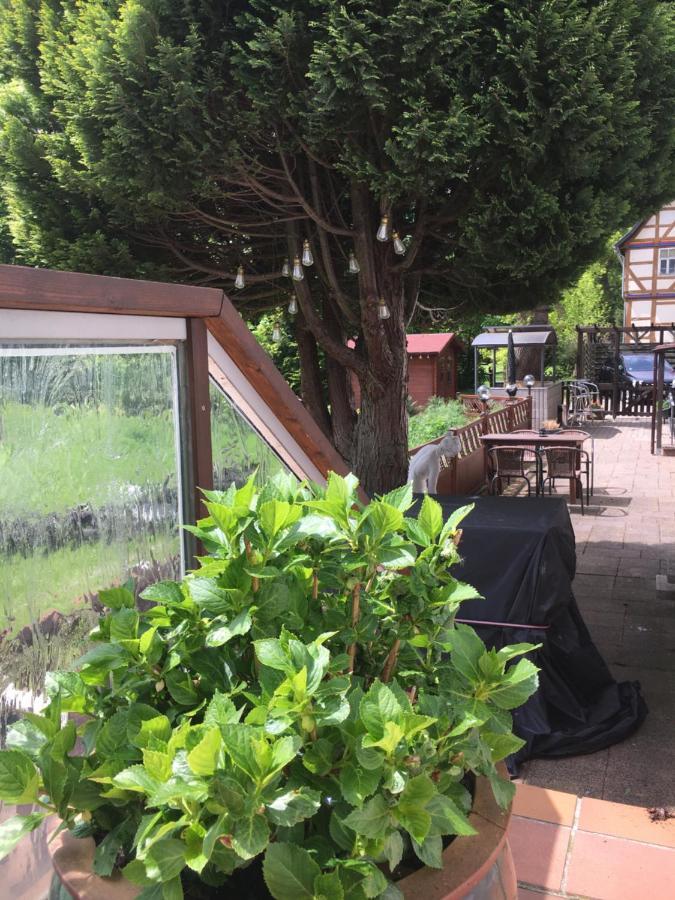 Hotellerie Gasthaus Schubert 가르브센 외부 사진